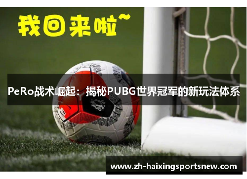 PeRo战术崛起：揭秘PUBG世界冠军的新玩法体系